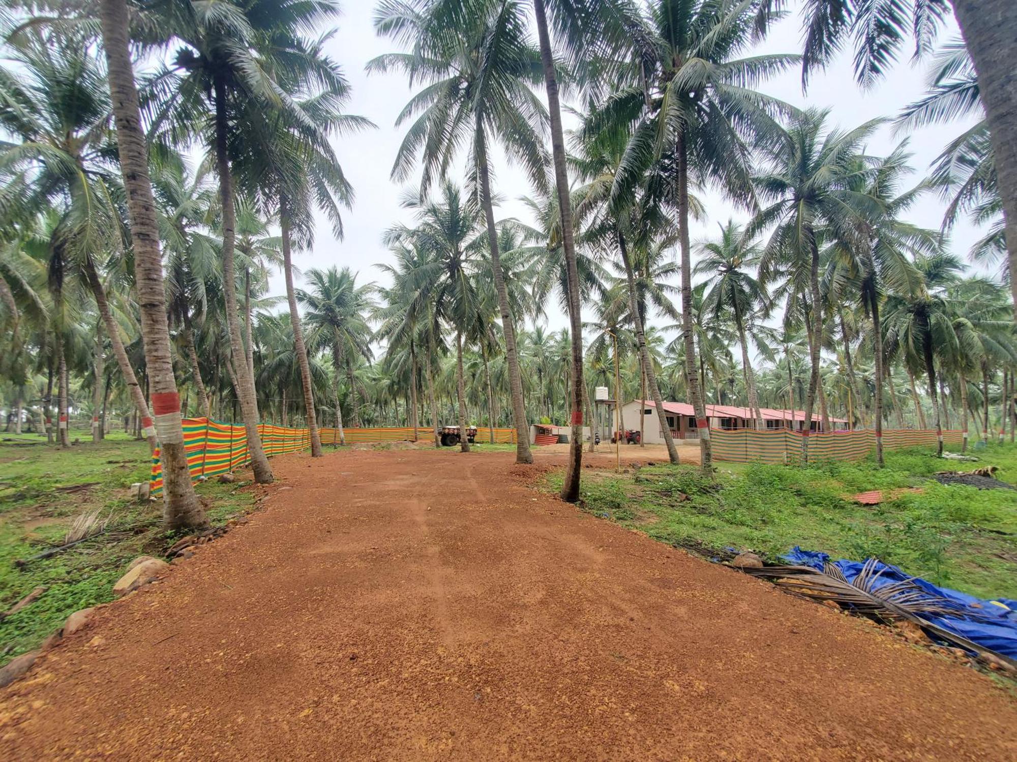 Coastline Beach Resort Perupalem 外观 照片